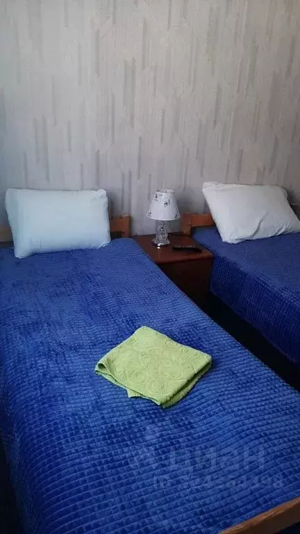 Комната Сахалинская область, Южно-Сахалинск ул. М.А. Пуркаева, 33В - Фото 1