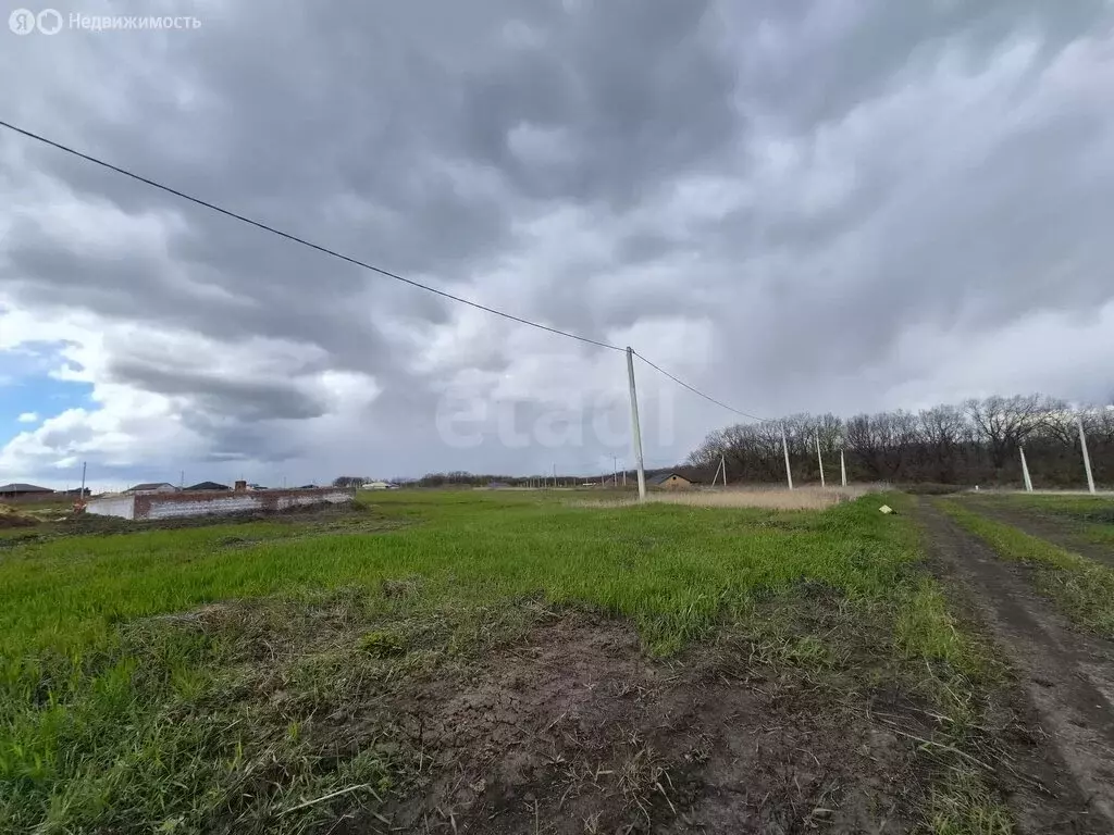 Участок в Белгородский район, село Стрелецкое (15 м) - Фото 1