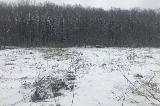 Участок в Московская область, Зарайск муниципальный округ, д. Авдеево  ... - Фото 1