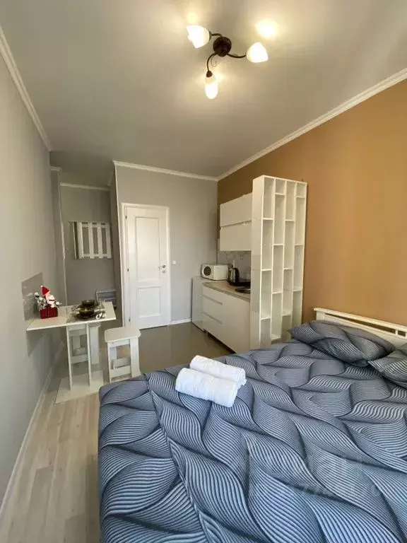 Студия Московская область, Красногорск ул. Авангардная, 8 (19.0 м) - Фото 1