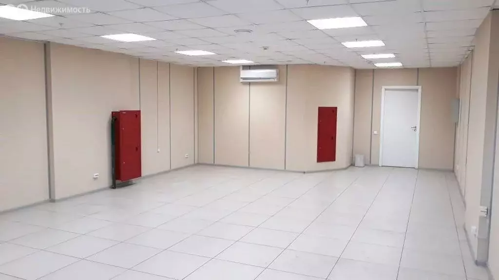 Офис (66.3 м) - Фото 2