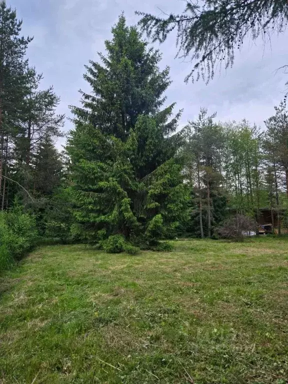 Участок в Ленинградская область, Всеволожский район, Юкковское с/пос, ... - Фото 2