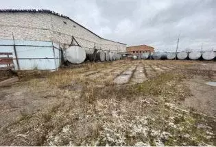 Производственное помещение в Псковская область, Великие Луки ул. ... - Фото 1