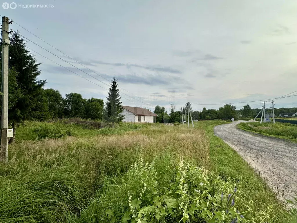 Участок в Калужская область, Жуковский муниципальный округ, деревня ... - Фото 2