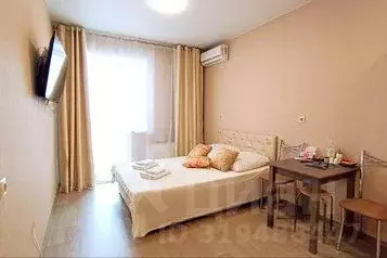 1-к кв. Хабаровский край, Хабаровск ул. Карла Маркса, 146Б (24.0 м) - Фото 0