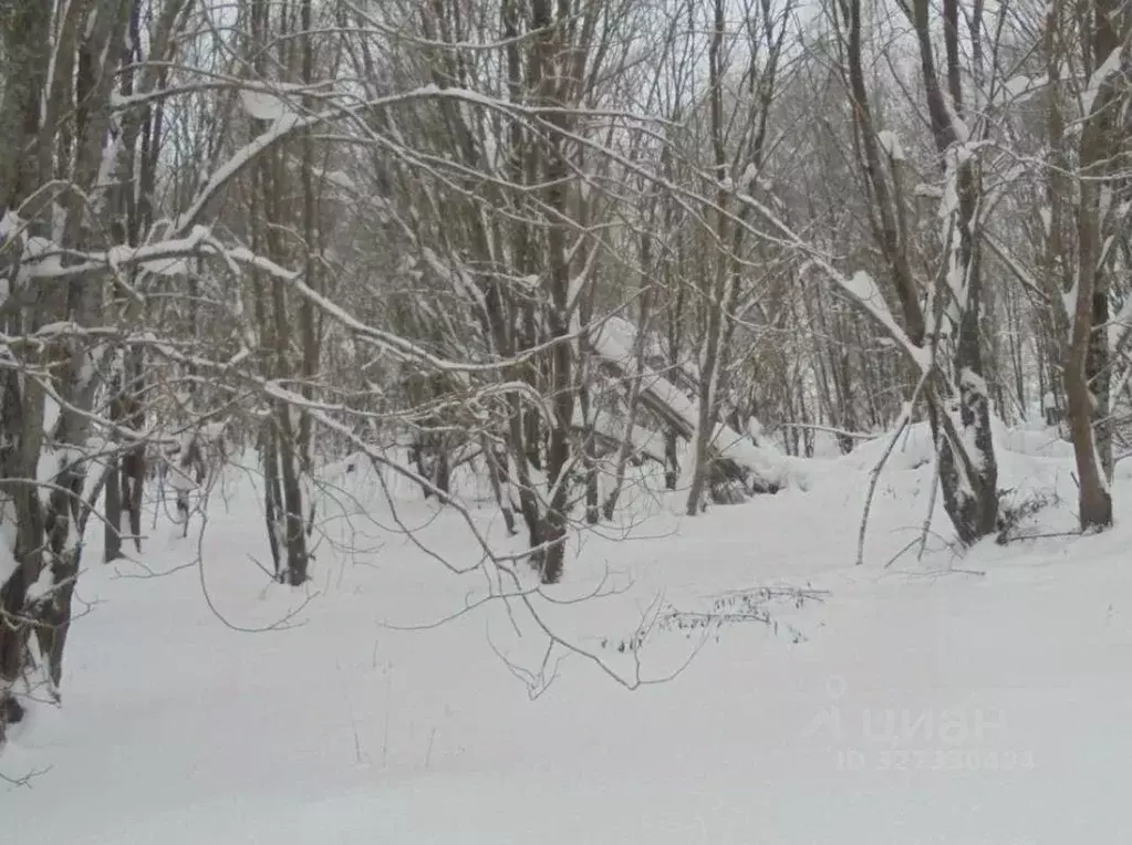 Участок в Московская область, Дмитровский муниципальный округ, д. ... - Фото 1