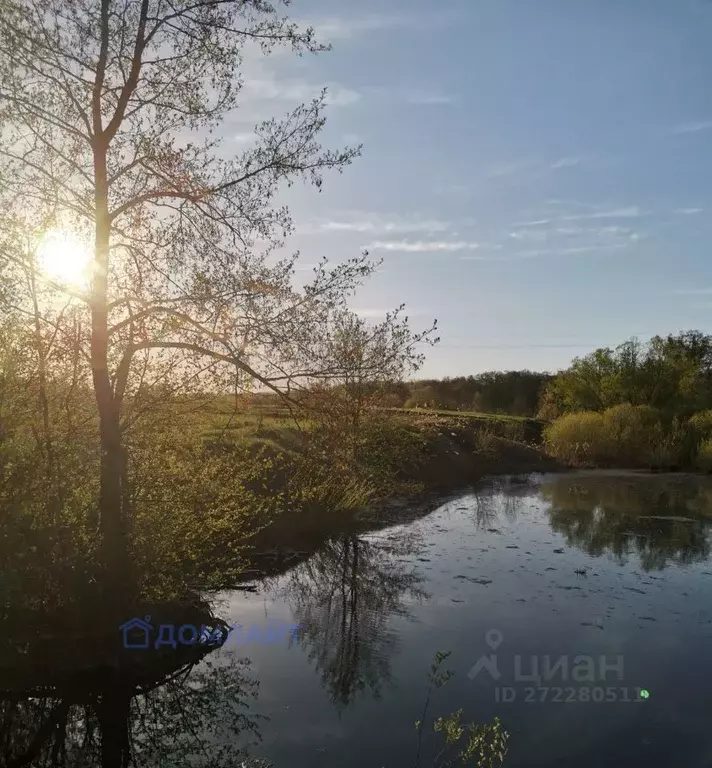 Дом в Самарская область, Борский район, с. Подгорное Комплексная ул., ... - Фото 1