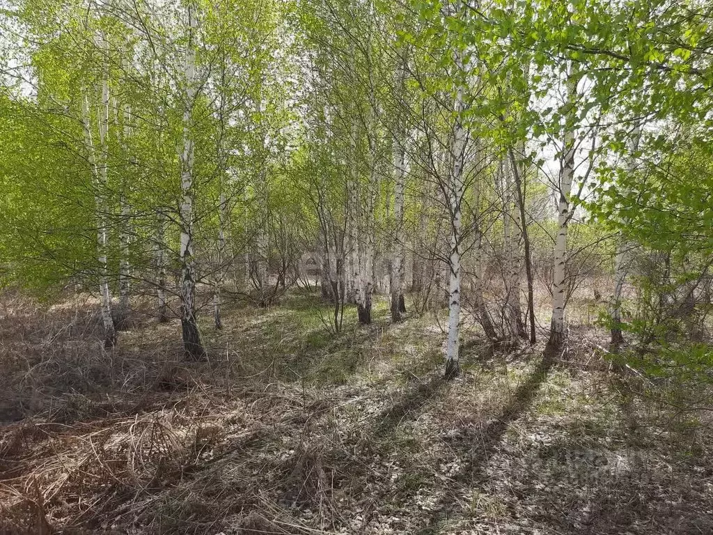 участок в свердловская область, екатеринбург седьмая дача кп, (10.0 . - Фото 0