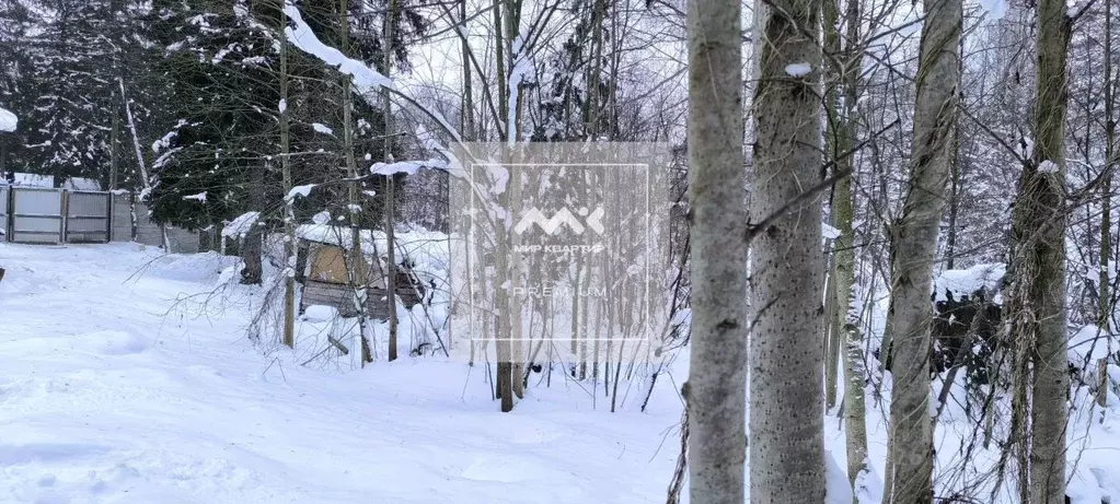 Участок в Ленинградская область, Всеволожск Пушкинская ул., 124 (20.2 ... - Фото 1