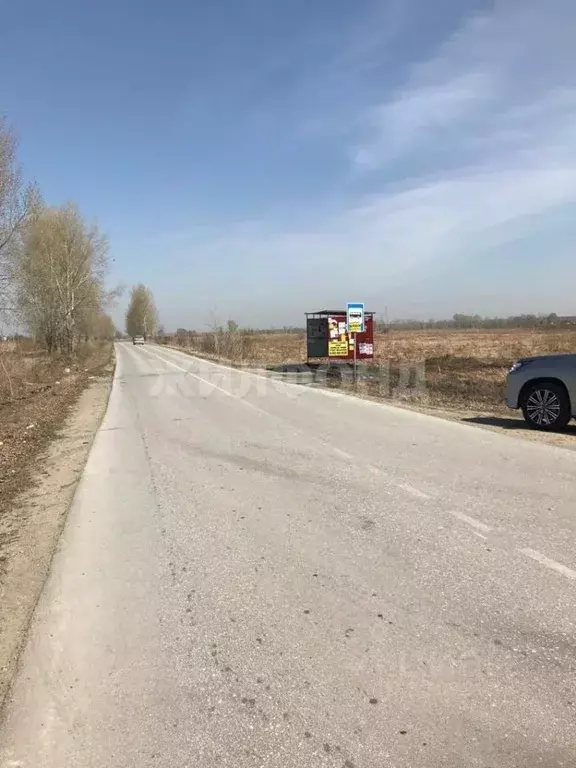 Участок в Новосибирская область, Новосибирский район, Кудряшовский ... - Фото 2