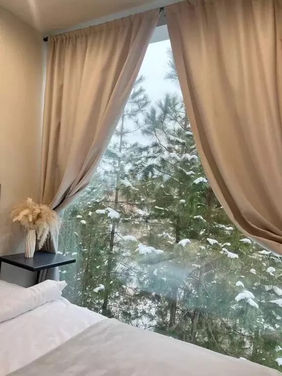 Дом в Алтай, Турочакский район, с. Артыбаш  (32 м) - Фото 2