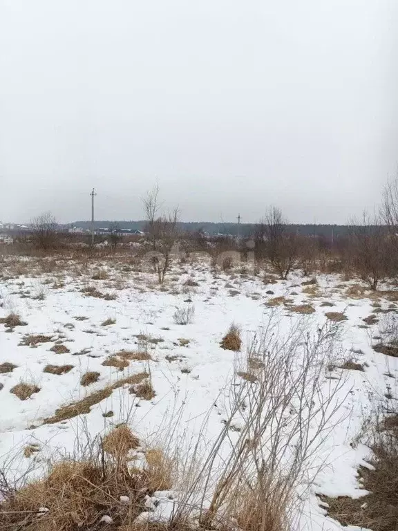 Участок в Курская область, Курский район, Моковский сельсовет, д. ... - Фото 1