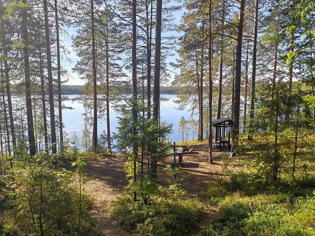 Участок в Карелия, Прионежский район, Нововилговское с/пос, Гильд СНТ ... - Фото 2
