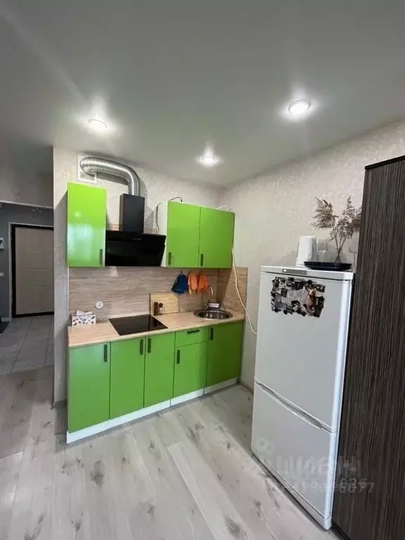 Студия Ленинградская область, Мурино Всеволожский район, просп. ... - Фото 2