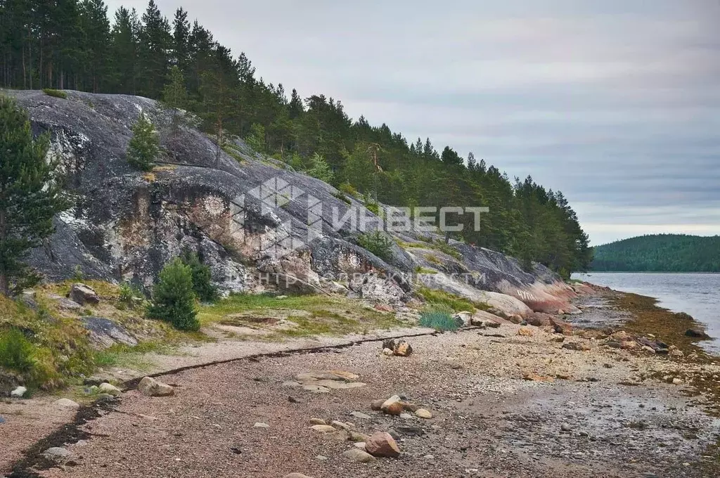 Дом в Карелия, Лоухский район, Чупа пгт Приморская ул., 6 (44 м) - Фото 2