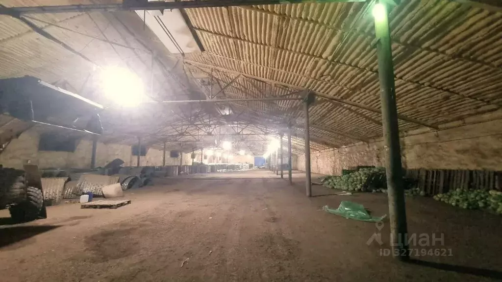 Склад в Волгоградская область, Городищенский район, Новорогачинское ... - Фото 1