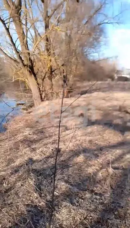 Участок в Брянская область, Климовский район, с. Истопки  (25.5 сот.) - Фото 2