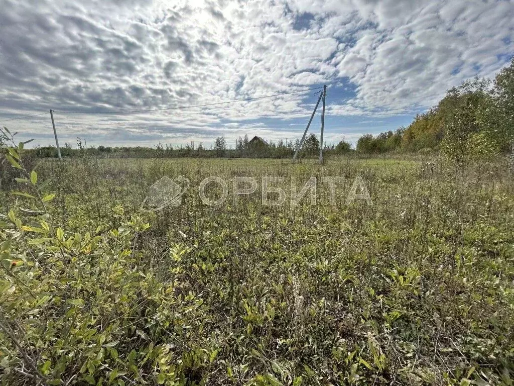 Участок в Тюменская область, Тюменский муниципальный округ, с. Кулига, ... - Фото 1