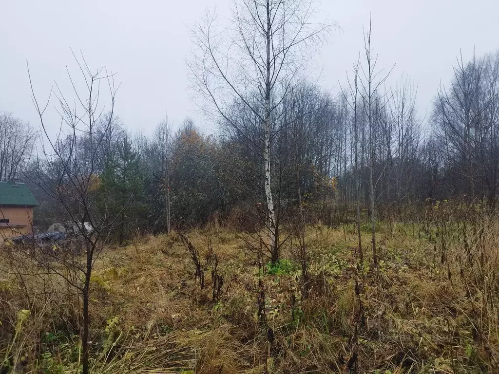 Участок в Ленинградская область, Сланцевский район, Старопольское ... - Фото 2
