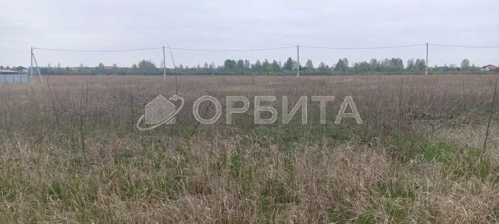 Участок в Тюменская область, Тюмень Яровское садовое товарищество, ул. ... - Фото 2