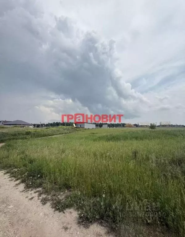 Участок в Новосибирская область, Новосибирский район, Морской ... - Фото 1