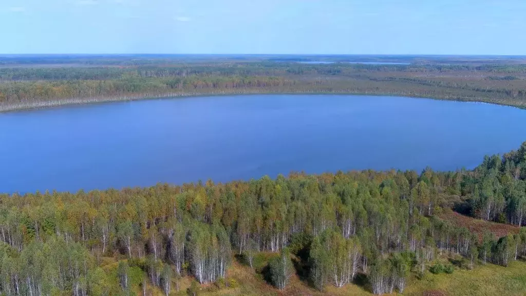 Участок в Тюменская область, Нижнетавдинский район, пос. Мияги ул. ... - Фото 0