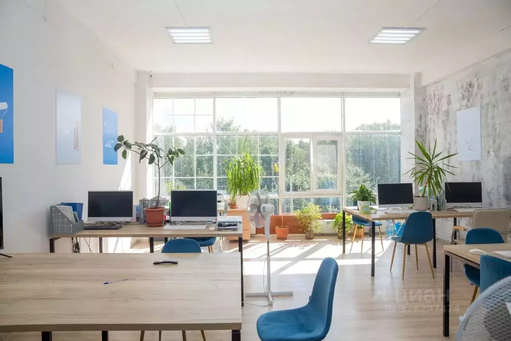 Офис в Ярославская область, Ярославль ул. Победы, 38/27 (87 м) - Фото 2