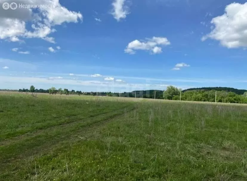 Участок в Стерлитамакский район, Услинский сельсовет, деревня Чулпан ... - Фото 2