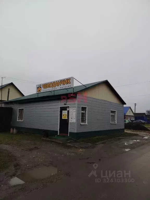 Торговая площадь в Пензенская область, Бессоновский район, с. ... - Фото 1