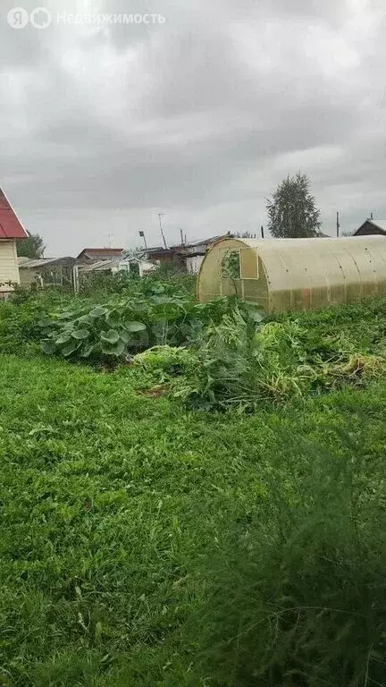 Дом в село Корнилово, СНТ имени Гвоздева, улица Лисовенко (20 м) - Фото 2
