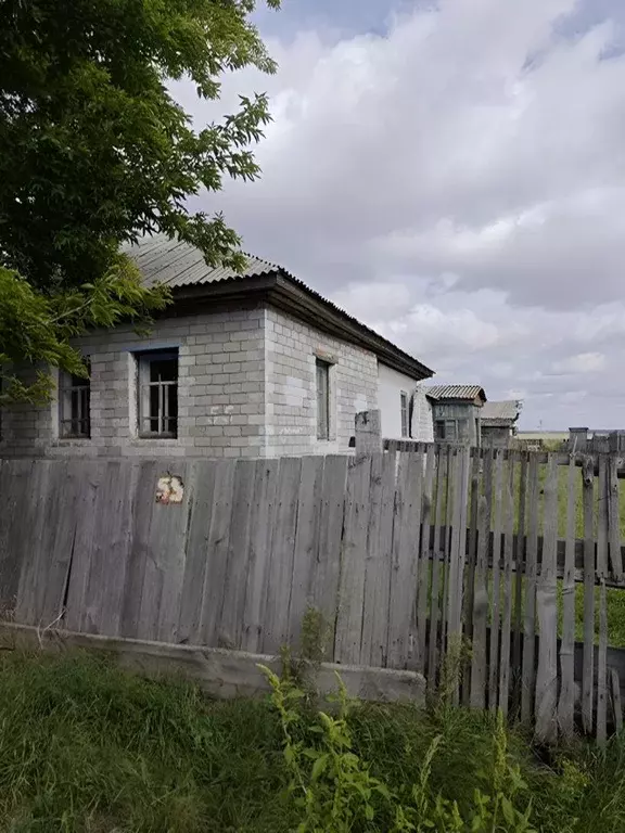 Дом в Новосибирская область, Карасукский муниципальный округ, с. ... - Фото 0