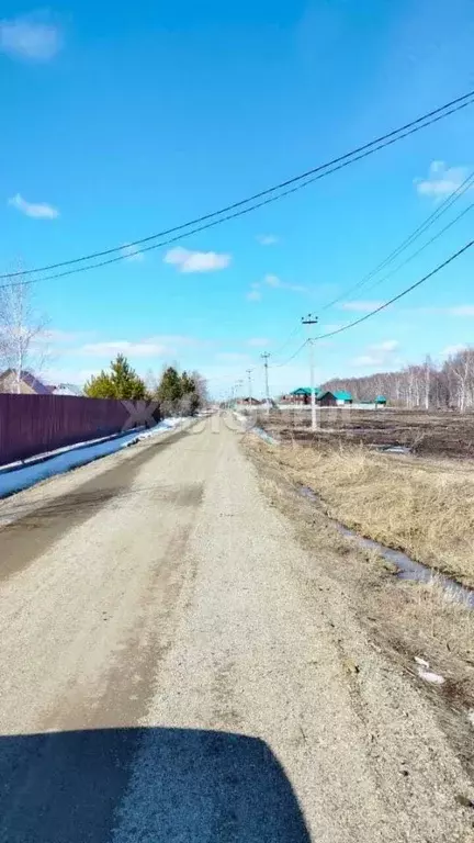 Участок в Новосибирская область, Колыванский район, Проектировщик СНТ  ... - Фото 1