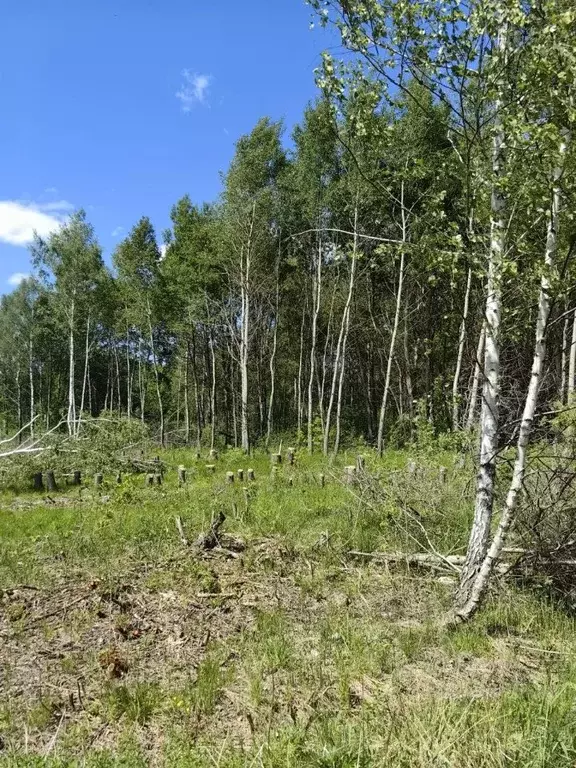 Участок в Рязанская область, Рязанский район, Варсковское с/пос, пос. ... - Фото 1