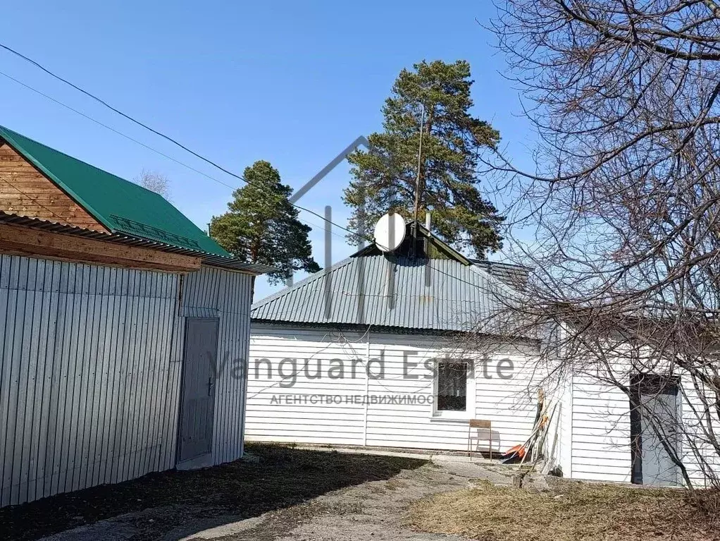Дом в Алтайский край, Барнаул городской округ, Поселок Борзовая заимка ... - Фото 1