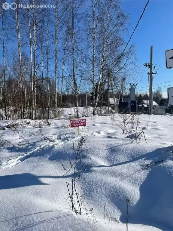 Участок в Пениковское сельское поселение, деревня Таменгонт, Медвежий ... - Фото 0