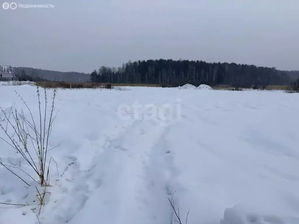 Участок в Миасс, Мирная улица (7.32 м) - Фото 2