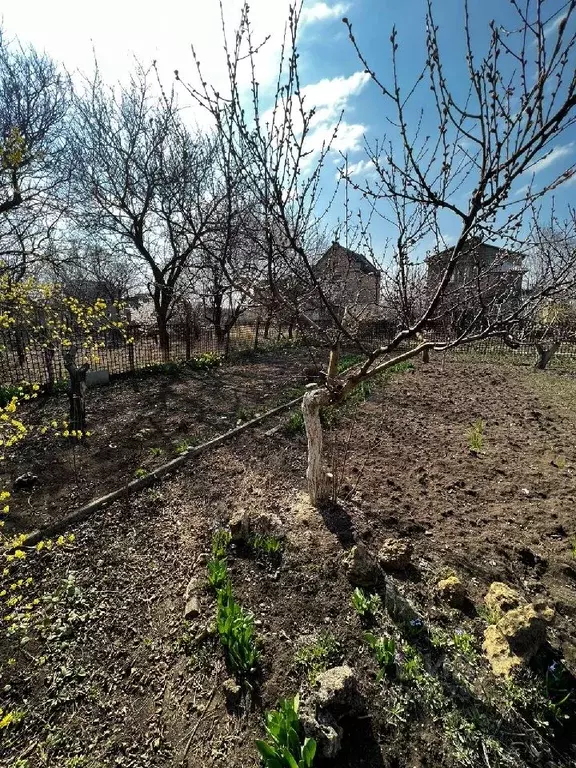 Дом в Крым, Симферопольский район, с. Трудовое ул. Зеленая (70 м) - Фото 1