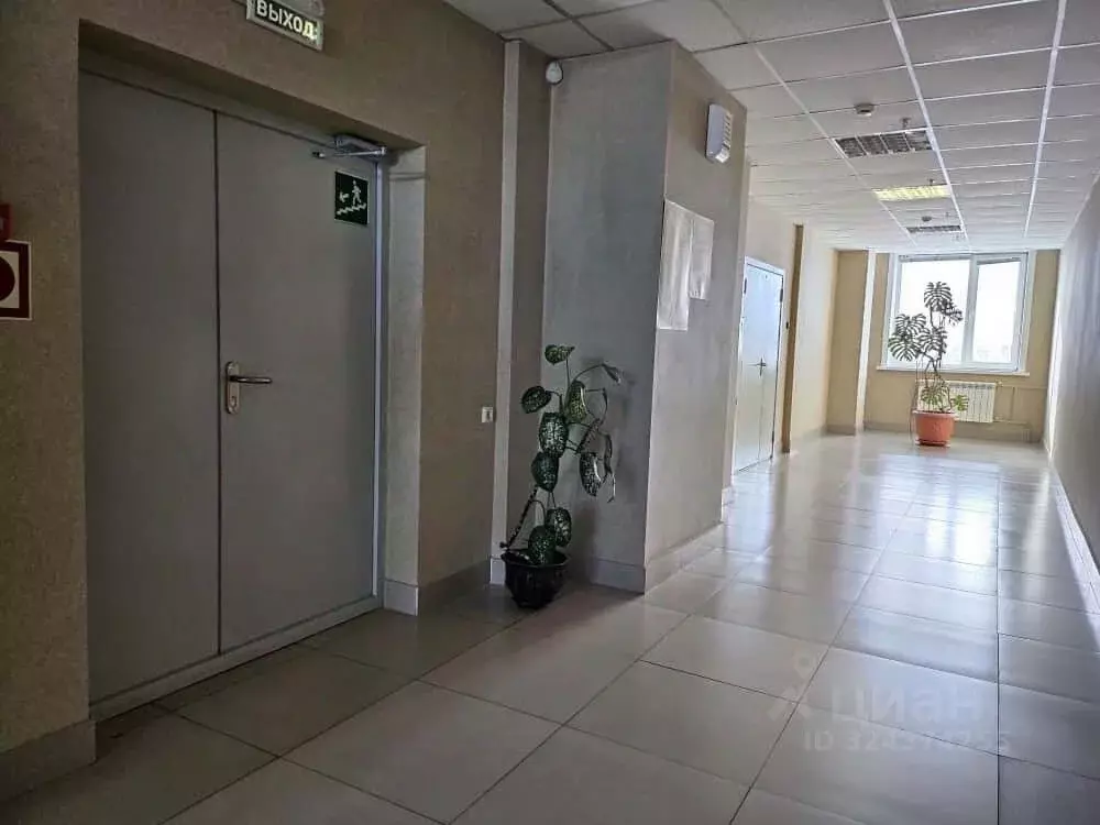 Офис в Амурская область, Благовещенск КПП мкр, ул. Текстильная, 114/1 ... - Фото 2