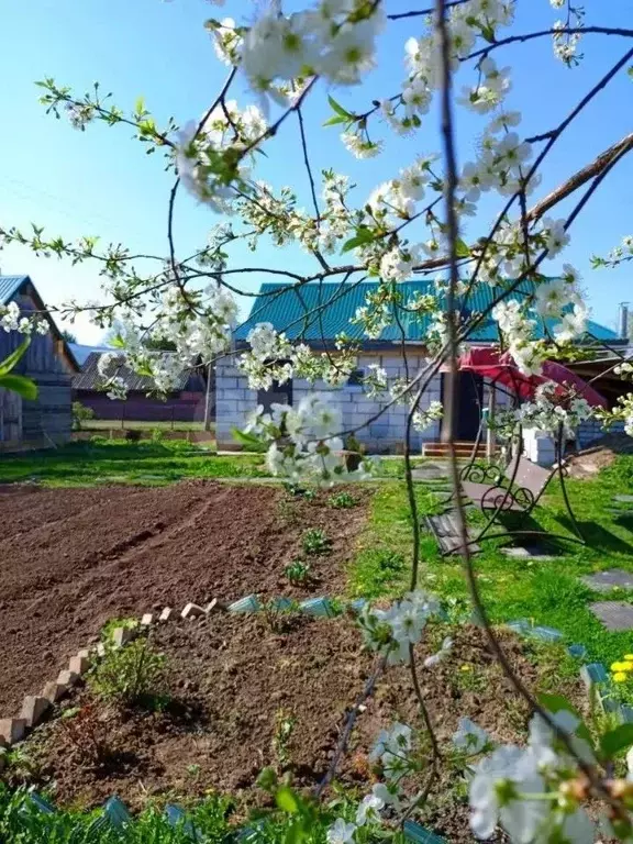 Дом в Смоленская область, Рудня ул. Шевцова, 10 (117 м) - Фото 1
