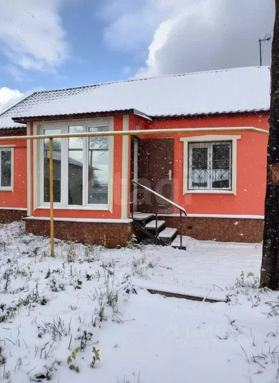 Дом в Тульская область, Тула городской округ, д. Севрюково 21 (33 м) - Фото 1