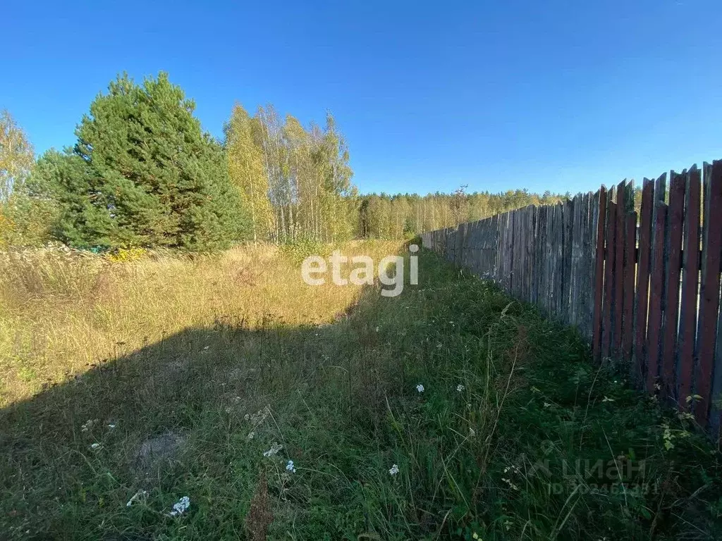 Участок в Владимирская область, Петушинский район, Пекшинское ... - Фото 1