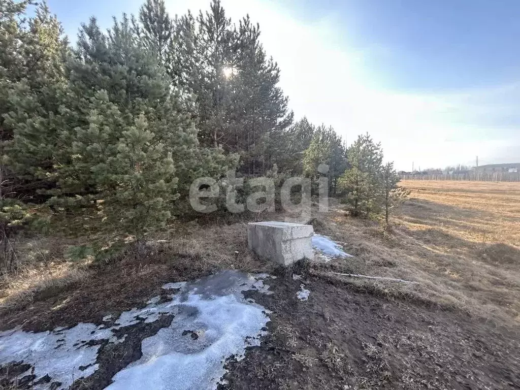 Участок в Бурятия, Кабанский район, с. Сухая  (7.3 сот.) - Фото 1