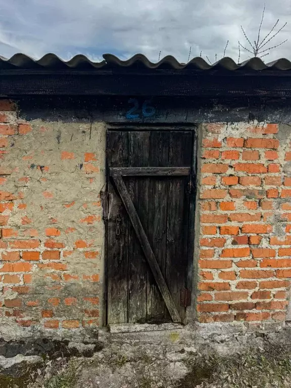 Помещение свободного назначения в Орловская область, Кромы пгт ул. К. ... - Фото 1