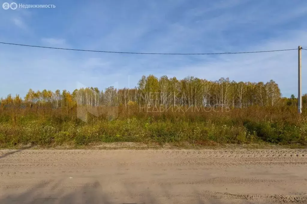 Участок в Тюменская область, Нижнетавдинский муниципальный округ, ... - Фото 2