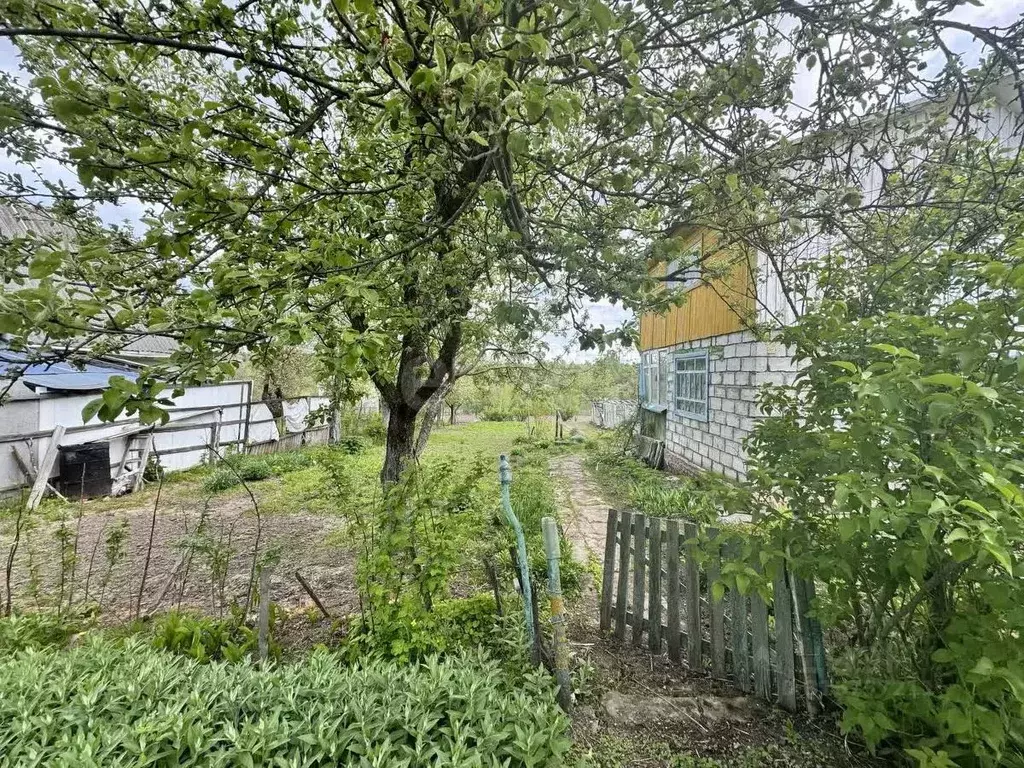 Участок в Брянская область, Брянский район, Снежское с/пос, пос. ... - Фото 1