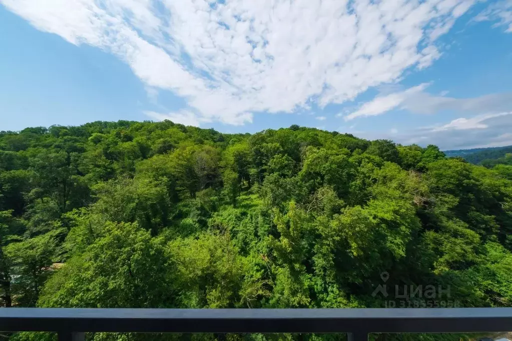 Студия Краснодарский край, Сочи ул. Искры, 88к3 (27.0 м) - Фото 1