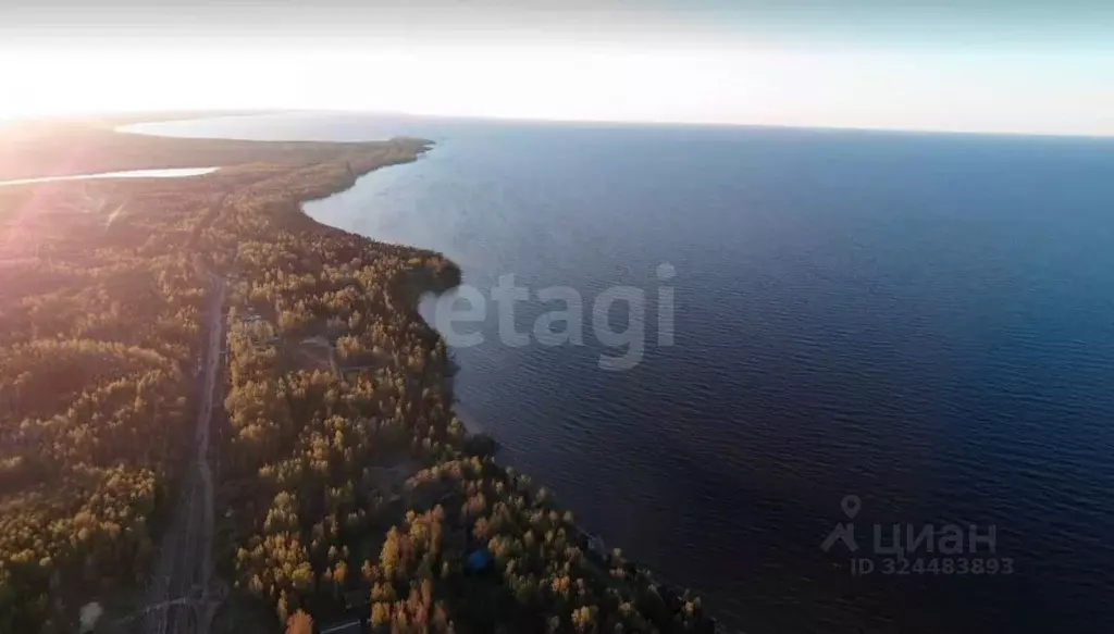 Участок в Ленинградская область, Всеволожский район, Рахьинское ... - Фото 1