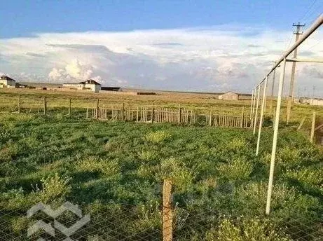 Участок в Крым, Черноморский район, Медведевское с/пос, с. Медведево ... - Фото 1