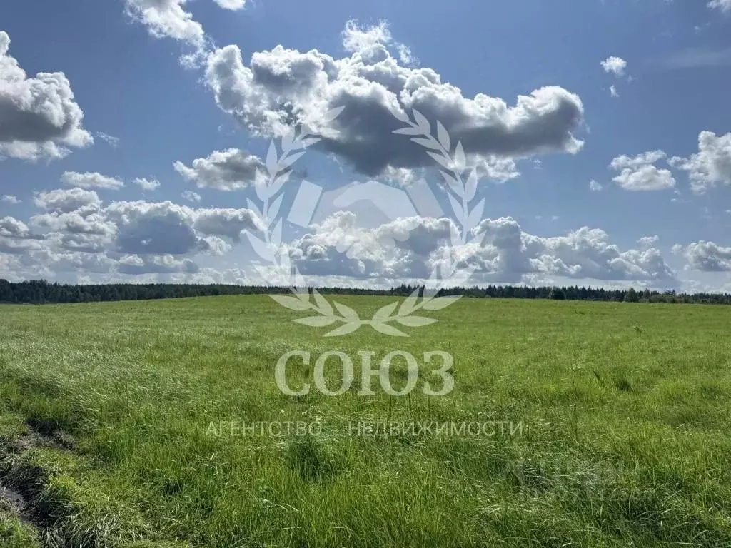 Участок в Московская область, Можайский муниципальный округ, д. ... - Фото 2