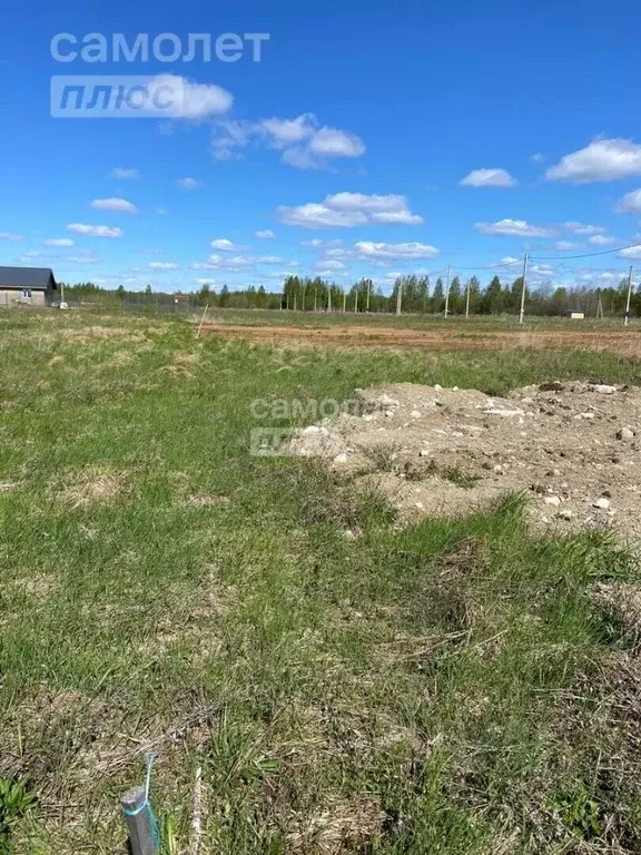 Участок в Костромская область, Кострома Первый кп, проезд Хвалынский ... - Фото 2